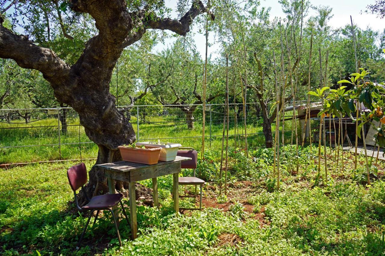 Villa Veni Olive House à Kalamata Extérieur photo