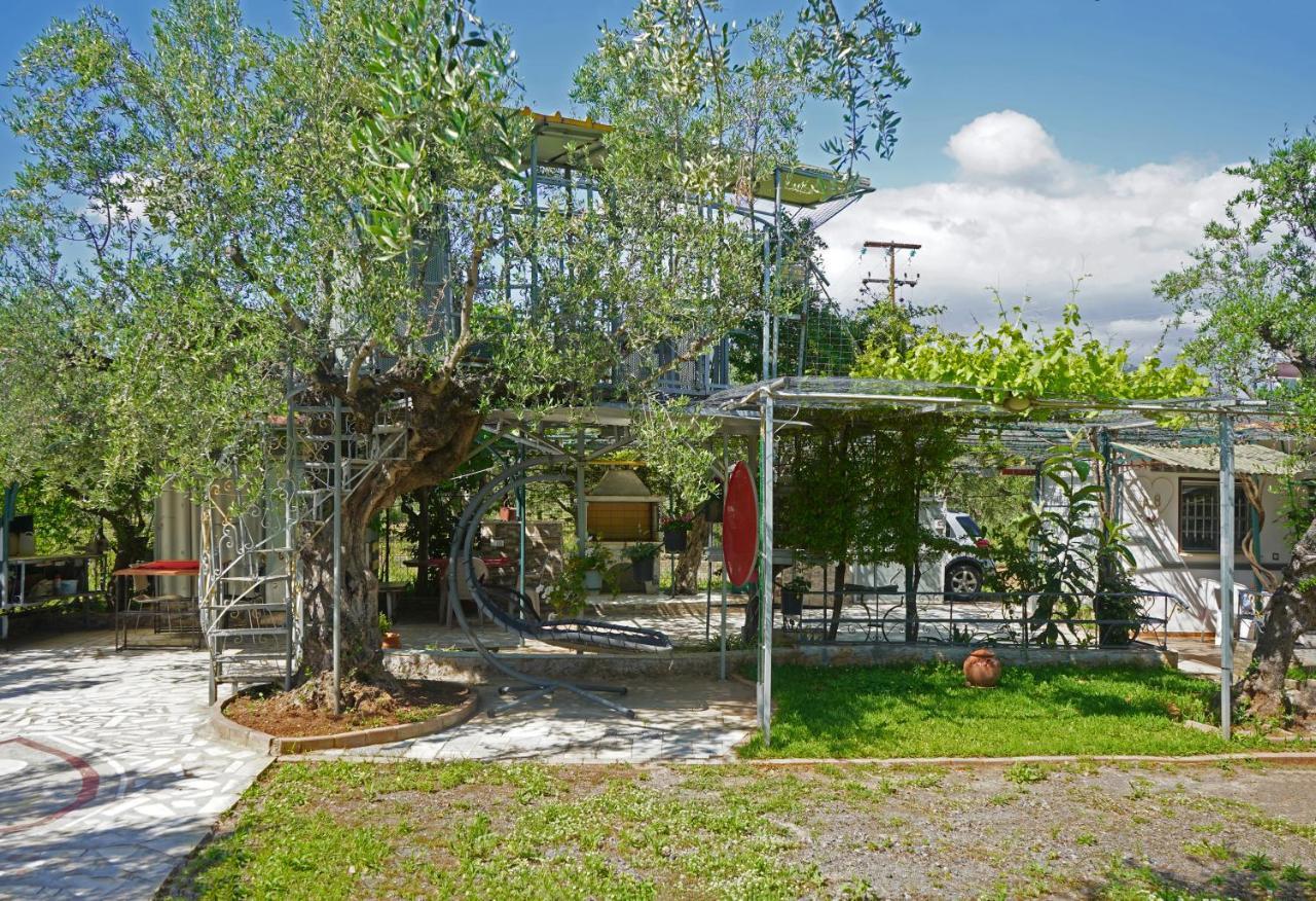 Villa Veni Olive House à Kalamata Extérieur photo