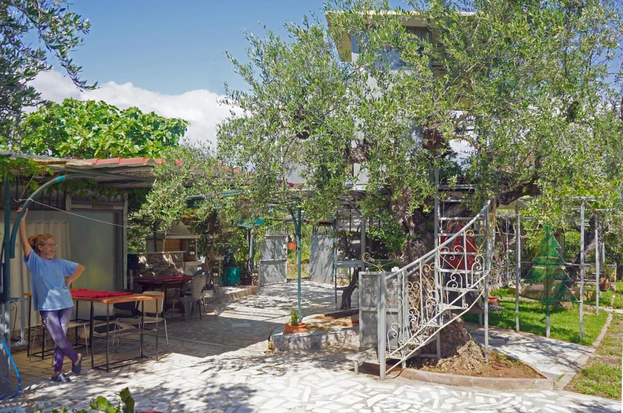 Villa Veni Olive House à Kalamata Extérieur photo